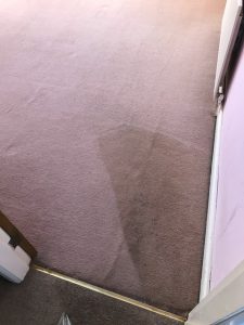 Carpet Care by Lincs Carpet Cleaning